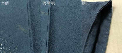 平和屋着物●豪華色留袖　御所解文　金彩　正絹　逸品　CABN3185vp