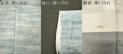 平和屋着物■上質な小紋　霞文　正絹　逸品　CABN4436ou