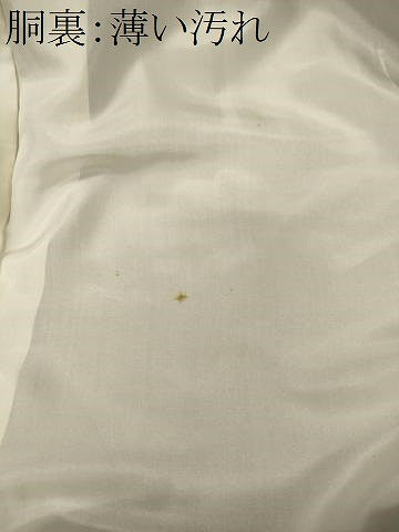 平和屋着物■本場大島紬　枝花文　正絹　逸品　未使用　CABN4449oy