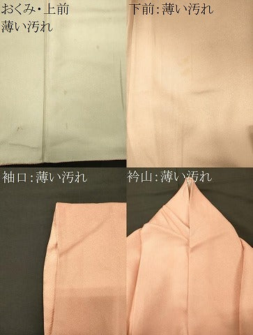 平和屋着物■訪問着　霞文　正絹　逸品　CABN4477oy