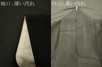 平和屋着物■豪華黒留袖　作家物　雅百景　桂浜　暈し染め　金彩　正絹　逸品　CABN4481oy