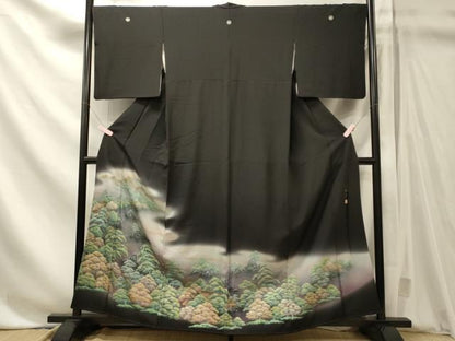 平和屋着物■豪華黒留袖　作家物　雅百景　桂浜　暈し染め　金彩　正絹　逸品　CABN4481oy