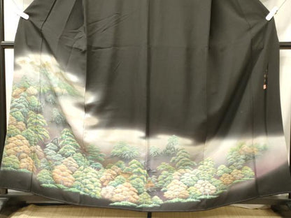 平和屋着物■豪華黒留袖　作家物　雅百景　桂浜　暈し染め　金彩　正絹　逸品　CABN4481oy