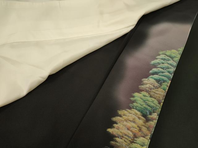 平和屋着物■豪華黒留袖　作家物　雅百景　桂浜　暈し染め　金彩　正絹　逸品　CABN4481oy