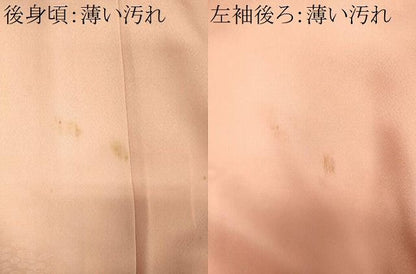 平和屋着物■豪華色留袖　草花地紋　正絹　逸品　CABN4574oy