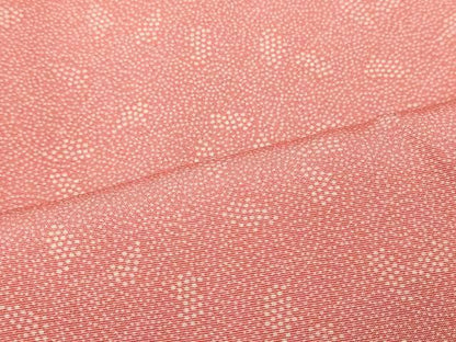 平和屋着物■江戸小紋　葡萄蔦の葉文　正絹　逸品　未使用　CABN4604oy