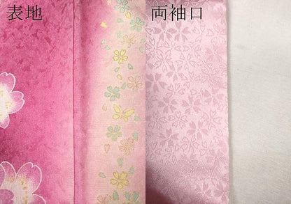 平和屋着物●豪華振袖　駒刺繍　舞花文　暈し染め　銀通し地　正絹　逸品　CABN5103ut