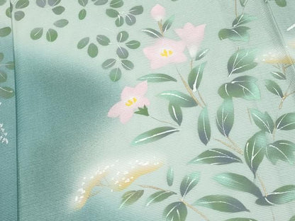 平和屋着物＊夏物　訪問着　絽　手描き　草花文　暈し染め　金銀彩　正絹　逸品　CABN5847tx