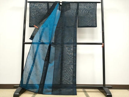 平和屋着物＊夏物　小紋　紗　雲取り枝葉文　黒地　正絹　逸品　CABN5864tx