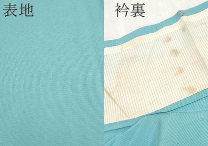 平和屋着物＊夏物　訪問着　絽　総刺繍　飛鳥文　正絹　逸品　CABN5865tx