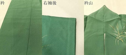 平和屋着物●訪問着　草花文　暈し染め　金彩　正絹　逸品　CABN6201vp
