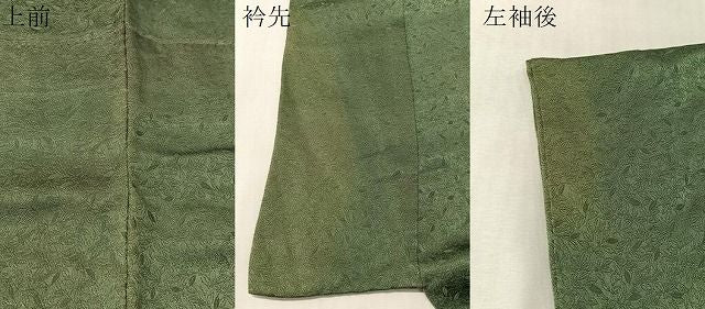 平和屋着物●訪問着　枝花丸文　金彩　正絹　逸品　CABN6223vp