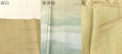 平和屋着物●石川県指定無形文化財　牛首紬　白山工房　手織り　角印　訪問着　霞文　正絹　逸品　CABN6340vp