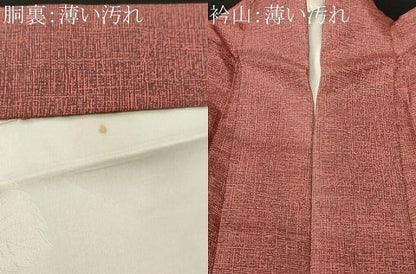 平和屋着物■訪問着　本場染大島紬　芝草花文　正絹　逸品　CABN7398ev