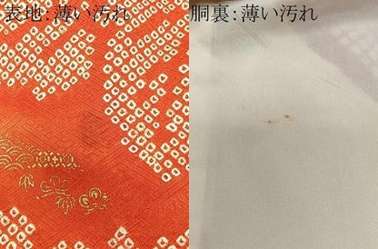 平和屋着物■豪華振袖　駒刺繍　絞り　草花文　金彩　正絹　逸品　CABN9205ua