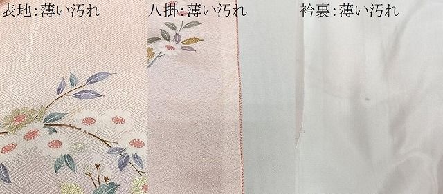 平和屋着物■訪問着　枝花文　暈し染め　金銀彩　正絹　逸品　CABN9242ua