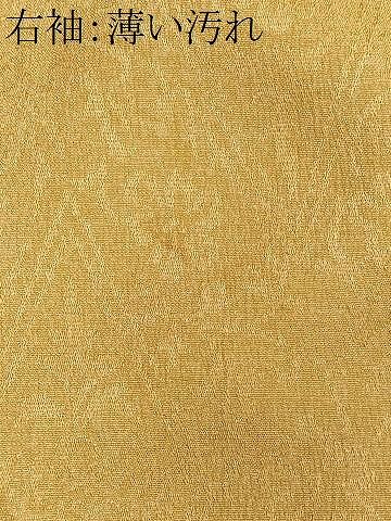 平和屋着物■訪問着　お召地　草花文　金彩　正絹　逸品　CABN9254ua