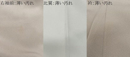 平和屋着物●豪華色留袖　人物風景文　金銀彩　正絹　逸品　CABN9360ua