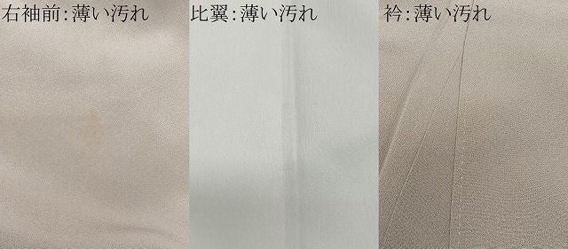 平和屋着物●豪華色留袖　人物風景文　金銀彩　正絹　逸品　CABN9360ua