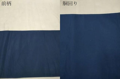 平和屋着物●太鼓柄袋帯　鯉　蝶　金彩　正絹　逸品　CABN9645dy