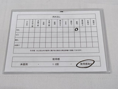 平和屋着物◎六通柄袋帯　風景松文　金銀糸　正絹　逸品　CABD1742ha