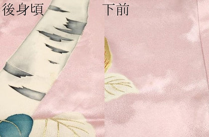平和屋本店■極上　染刺工芸　大羊居　東京友禅　訪問着　単衣　刺繍　枝葉文　虹色地　逸品　CYAA2523s5