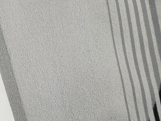 平和屋着物＊極上 夏物 明石ちぢみ 間道 潤色 逸品 CYAA2995s5