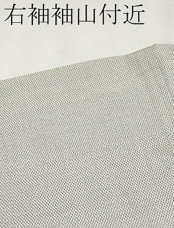 平和屋着物▽極上 本塩沢 訪問着 単衣 雲取り秋草文 蚊絣 逸品 未使用 CYAA3059s5
