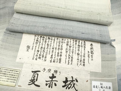 平和屋本店＊極上 夏物 夏赤城 手座繰り 根啓織物謹製 証紙付き 逸品 CYAA3235s5