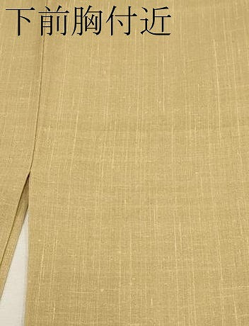 平和屋着物■極上　夏物　紗紬　手織　色無地　枯色地　伊と幸　反端付き　逸品　CYAA3276s5