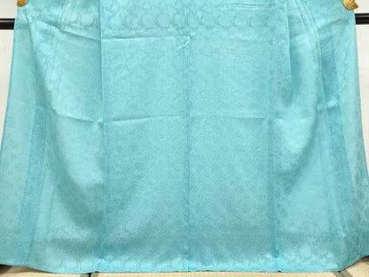 平和屋本店＊極上　夏物　色無地　牡丹唐草紋紗　新橋色　逸品　CYAA5097s6