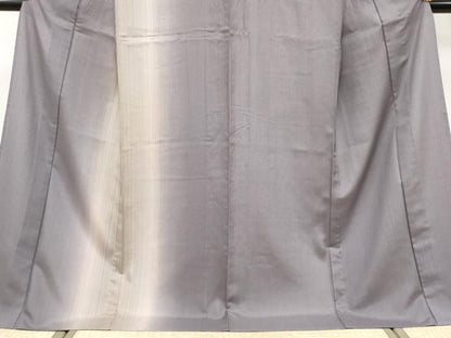 平和屋着物＊極上 夏物 田庭紬 訪問着 虹のときめき 鳩羽鼠色地 反端付き 逸品 CYAA3800s5