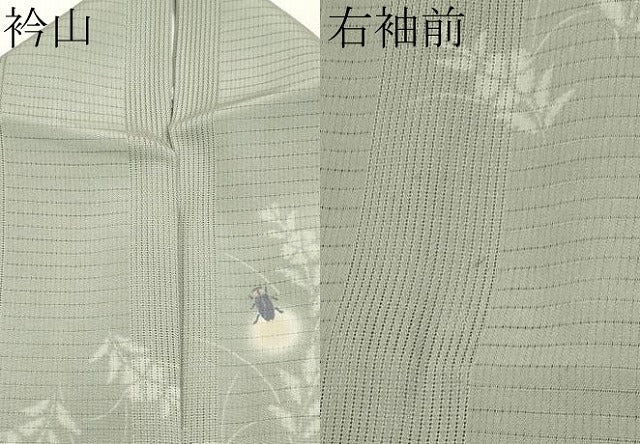 平和屋着物＊極上 夏物 小紋 京友禅 紋堅駒絽 変わり絽 蛍暈し ホタル 青白橡色地 逸品 CYAA3829s5