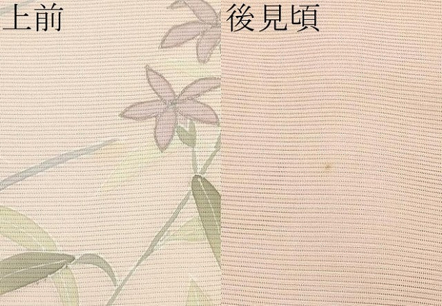 平和屋着物＊極上 夏物 訪問着 絽 草花文 銀彩 一斤染色地 逸品 CYAA3848s5