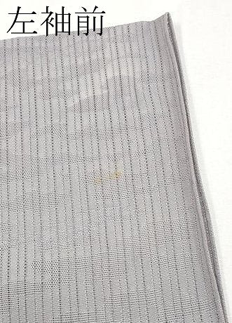 平和屋着物＊極上 夏物 小紋 霞紋絽 暈し染め 薄色地 逸品 CYAA3852s5