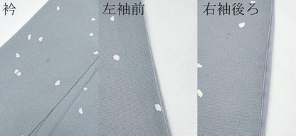平和屋着物●極上　小紋　作家物　箔散らし　逸品　CYAA4041s6