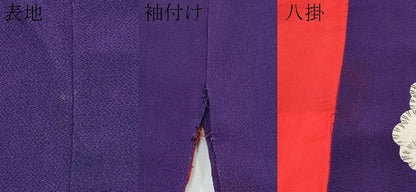平和屋着物●極上　アンティーク　大正ロマン　中国三大刺繍　相良刺繍　振袖　枝松文　金糸　鬼しぼ縮緬　深紫色地　逸品　CYAA4167s6