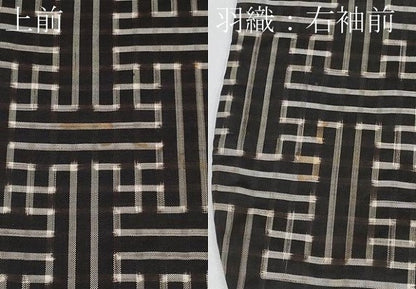 平和屋着物●希少　本場大島紬　龍郷絣　秋名バラ　アンサンブル　逸品　CYAA4189s6