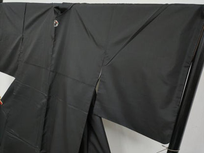 平和屋着物●極上　本場縞大島紬　色無地　黒地　洒落紋　逸品　CYAA4291s6