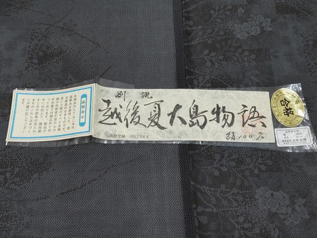 平和屋着物＊極上 夏物 越後夏大島物語 伝統工芸士白川貞夫 十日町白新染織謹製 9マルキ 枝花文 さが美扱い 証紙付 逸品 未使用 CYAA4315s6