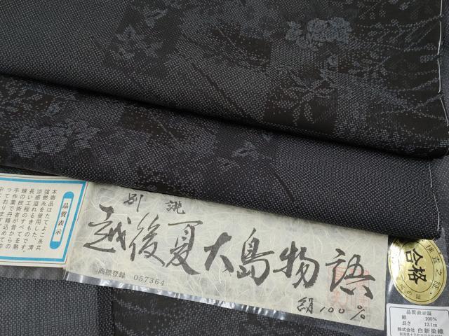 平和屋着物＊極上 夏物 越後夏大島物語 伝統工芸士白川貞夫 十日町白新染織謹製 9マルキ 枝花文 さが美扱い 証紙付 逸品 未使用 CYAA4315s6