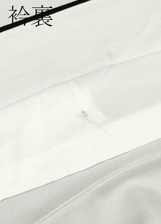平和屋着物●極上　訪問着　紬地　流線文　逸品　CYAA4499s6