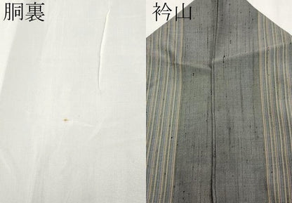 平和屋着物●極上　前田仁仙　仁仙更紗　紬　花鳥間道　煤色地　逸品　CYAA4500s6