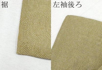 平和屋着物＊極上 夏物 江戸小紋 絽 鮫小紋柄 根岸色地 逸品 未使用 CYAA4564s6