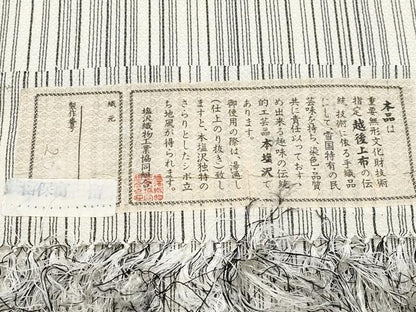 平和屋着物▽極上 本塩沢 単衣 縞 白地 逸品 CYAA4587s6