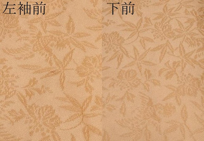 平和屋着物●極上　紋屋井関　御寮織　お召　色無地　桐竹鳳凰文　深支子色地　逸品　CYAA4654s6