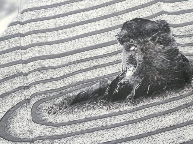 平和屋着物●極上　樋口敦也　訪問着　手描き　石庭文　白地　逸品　CYAA4742s6