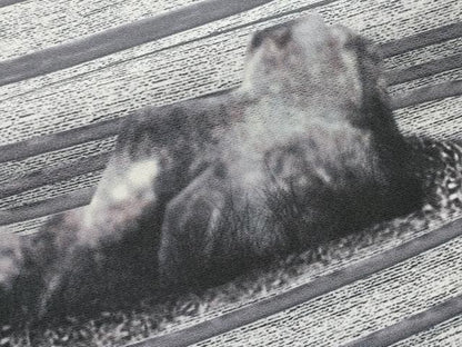 平和屋着物●極上　樋口敦也　訪問着　手描き　石庭文　白地　逸品　CYAA4742s6