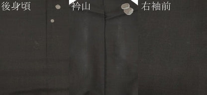 平和屋着物●極上　本場大島紬　9マルキ　地空き　水玉　ますいわ屋扱い　逸品　CYAA4756s6