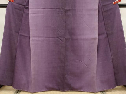 平和屋着物●極上　本場結城紬　重要無形文化財　間道　逸品　未使用　CYAA4770s6